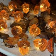 🍂 autumn acorn 3d twinkle fall decorations | 10 ft 30 led harvest string lights | usb operated with remote | perfect for kitchen, baby shower, thanksgiving party, home & garden wreath décor логотип