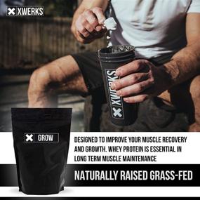 img 1 attached to Xwerks Grow Vanilla Grass Fed Whey Protein Powder Isolate - Keto Friendly, Cold Processed from New Zealand, Non-GMO, All Natural Protein Powder - NO Gluten, Artificial Sweeteners, or Fillers - 30 Servings