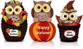 img 4 attached to 🦉 Charming Fall Pumpkin Owl Table Decorations: Festive Thanksgiving Wooden Owl Sign with Pumpkin Accents - Perfect Autumn Harvest Decor for Indoor and Outdoor Home Yard