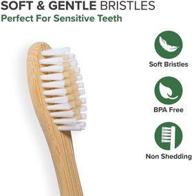 img 2 attached to 🌱 VIVAGO Biodegradable Bamboo Toothbrushes 10 Pack - Eco-Friendly, BPA Free, Soft Bristles, Compostable Natural Wooden Toothbrushes