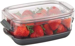 img 3 attached to 🍓 Keep Your Berries Fresh with Prepworks by Progressive Berry ProKeeper – 1.2-Quart Container for Strawberries, Blueberries, Fruits, and Vegetables – Black