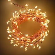 🌟 10ft indoor string lights firecracker lights - waterproof, plug in christmas wedding party bedroom lights, warm white - 200led, 2 pack логотип