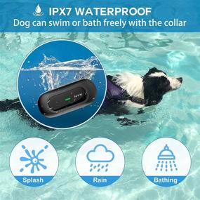 img 1 attached to 🐶 NVK Dog Training Collar - Rechargeable Remote Collar with 3 Training Modes, Beep, Vibration, and Shock | Waterproof and 1600Ft Remote Range