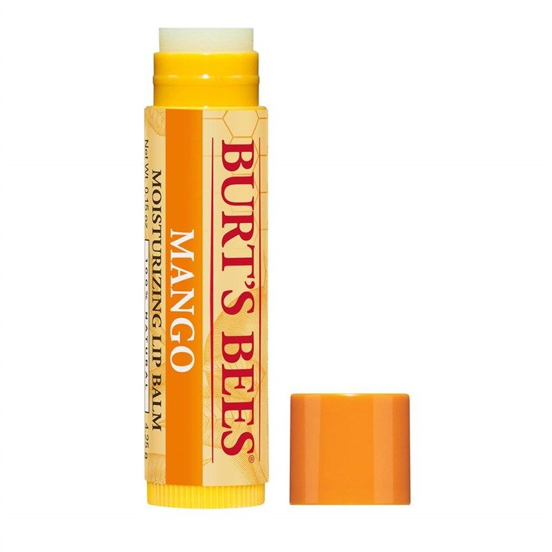 burts bees natural moisturizing extracts personal care for lip care 로고