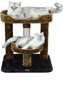 img 2 attached to 🐱 Optimized Cat Tree Perch by Go Pet Club