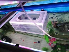 img 1 attached to Aquarium Fish，Aquarium Hatching Incubator Isolation Hatchery、Fish