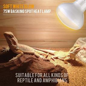 img 2 attached to 🐢 Aomryom 75W 2 Pack UVA Basking Spot Lamp: Soft White Light Glass Heat Bulbs for Reptiles & Amphibians - Enhance Your Pets' Well-being!