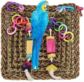 img 4 attached to 🐦 Keersi Straw Braid Rope Net Hammock Ladder Bird Toy: Perfect for Parrots, Parakeets, Cockatiels, and More!