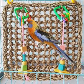 img 2 attached to 🐦 Keersi Straw Braid Rope Net Hammock Ladder Bird Toy: Perfect for Parrots, Parakeets, Cockatiels, and More!