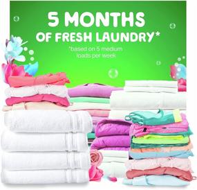 img 1 attached to 🌸 Get Fresh and Clean with Gain Flings 3-in-1 Liquid Laundry Detergent Pacs - Spring Daydream Scent, 3 Bag Value Pack - 111 Count, HE Compatible