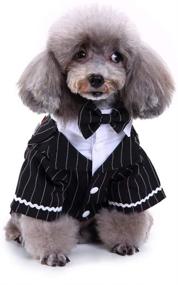 img 3 attached to Bonaweite Dog Black Suit Costume with Bow Tie - Pet Halloween Costume for Small Medium Large Puppy Dogs and Cats - Formal Boston Tuxedo Shirt, Dark Bride Costume, Prince Wedding Clothes