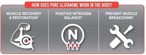 img 3 attached to GLUTAMINE Ultimate Restoration Breakdown UNFLAVORED Sports Nutrition