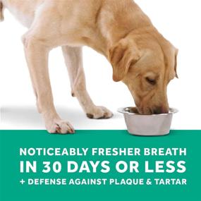 img 1 attached to 🐾 TropiClean 2 Pack Fresh Breath Pet Water Additive - 33.8 Ounce Plaque Remover