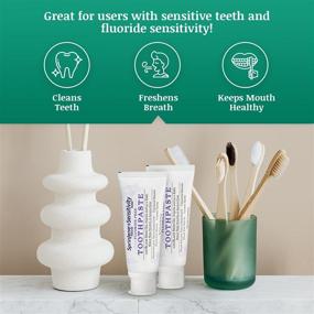 img 3 attached to 🦷 SprinJene Fluoride-Free Toothpaste: Sensitivity Relief for Teeth and Gums | Fresh Breath and Dry Mouth Support | Vegan, Dye-Free, Preservative-Free | 2-Pack 3.5oz for Adults