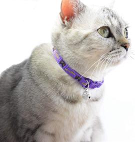 img 2 attached to Collar Adjustable Kitten Collars Safety