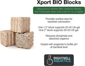 img 3 attached to 🔬 Brightwell Aquatics Xport-BIO Block - Bio Filter Media for Bacteria Growth & Phosphate Reduction, 4 Pack, 1.5 Inch, Model XPBLOCKBIO1.5in-4pk