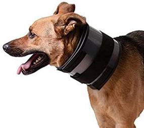 img 1 attached to 🚫 The Ultimate Solution for Bite-Free Recovery: Introducing the KVP Bite Free Collar!