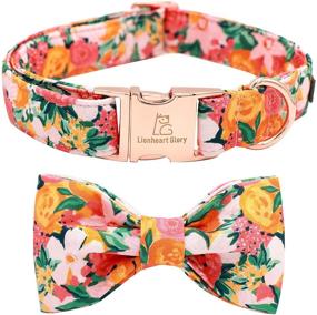 img 4 attached to 🦁 Lionheart Glory Premium Dog Collars: Stylish Bowtie & Adjustable Heavy Duty Collar for Small, Medium, & Large Dogs