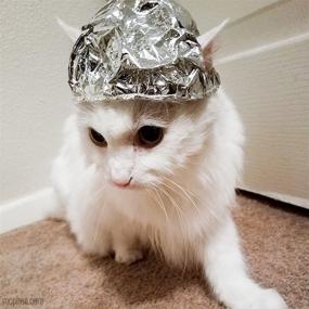 img 1 attached to 🎩 Optimized Tin Foil Hats for Cats Engaged in Conspiracy Theories