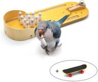 ayrely bird trick training toys: mini desktop bowling parrot toys for large and small parakeets, eclectus, sun conures, caique, cockatoo логотип