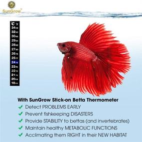 img 2 attached to 🌡️ SunGrow Betta Stick-on Sticker Thermometers - Green & Blue Temperature Indicators, 5.2 x 0.7 Inches, 1 Sticker per Pack