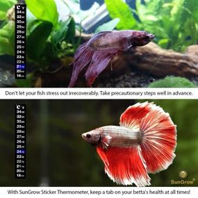 img 1 attached to 🌡️ SunGrow Betta Stick-on Sticker Thermometers - Green & Blue Temperature Indicators, 5.2 x 0.7 Inches, 1 Sticker per Pack