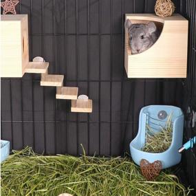 img 3 attached to 🏠 Premium Wood Chinchilla Hut Hideout - Perfect Small Animal Hideaway for Chinchillas, Sugar Gliders, and Squirrels