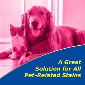 img 1 attached to 🐾 OdoBan Pet Solutions: 32oz Spray Bottle & 1 Gal Neutral pH Floor Cleaner Concentrate - Effective Pet Odor Elimination & Floor Cleaning Duo