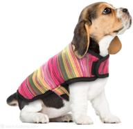 🐾 stay warm and stylish: didog mexican serape blanket dog poncho for small dogs & cats - ideal fleece lined winter coat for halloween costume and christmas outfit логотип