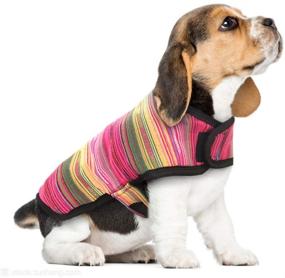 img 4 attached to 🐾 Stay Warm and Stylish: Didog Mexican Serape Blanket Dog Poncho for Small Dogs & Cats - Ideal Fleece Lined Winter Coat for Halloween Costume and Christmas Outfit