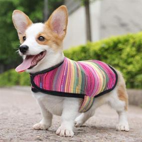 img 3 attached to 🐾 Stay Warm and Stylish: Didog Mexican Serape Blanket Dog Poncho for Small Dogs & Cats - Ideal Fleece Lined Winter Coat for Halloween Costume and Christmas Outfit