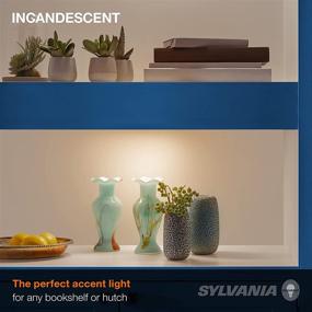 img 2 attached to 💡 Sylvania 14784 Intermediate Mini Reflector Incandescent Bulb