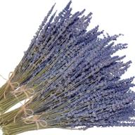 🌸 cedar space dried lavender flowers bundle - 4 bunches of dried lavender, perfect home fragrance products for weddings, parties, photography, flower arrangements &amp; diy projects, 16 inches long логотип