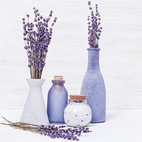 img 2 attached to 🌸 Cedar Space Dried Lavender Flowers Bundle - 4 Bunches of Dried Lavender, Perfect Home Fragrance Products for Weddings, Parties, Photography, Flower Arrangements &amp; DIY Projects, 16 Inches Long