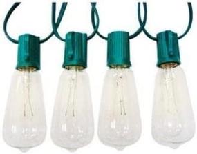 img 3 attached to 💡 Edison Style Replacement Bulbs for Celebrations