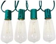 💡 edison style replacement bulbs for celebrations логотип