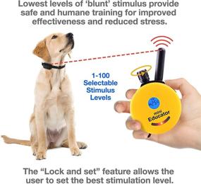 img 3 attached to 🐶 Educator E-Collar Mini: Advanced Remote Dog Training System with 1/2 Mile Range + Bonus Off-Leash 4 Sessions DVD