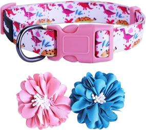 img 3 attached to 🐶 Cute Girl Dog Collars: Osonm Adjustable Collar with Removable Charm Flower and Design Pattern for Puppy Small Medium Large Dogs