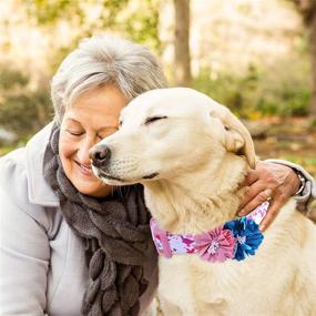 img 2 attached to 🐶 Cute Girl Dog Collars: Osonm Adjustable Collar with Removable Charm Flower and Design Pattern for Puppy Small Medium Large Dogs