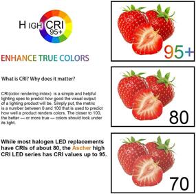 img 1 attached to SEO-дружественный защитный филамент с регулируемым винтажным видом