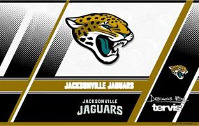 img 3 attached to 🏈 Tervis Triple Wall NFL Jacksonville Jaguars Insulated Tumbler Cup - 20oz, Stainless Steel, Edge: Keeps Drinks Cold & Hot