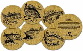 img 1 attached to 🐟 Corkology Com Fresh Water Fish Coasters: Stylish & Sustainable Protection for Your Surfaces