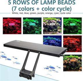 img 2 attached to 🐠 Enhance Your Aquarium with hygger Clip On LED Light- 14W, 24/7 Lighting, Adjustable Timer, DIY Mode, 7 Colors- Perfect for Planted Tanks and Fish Health