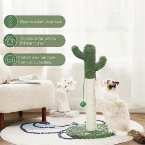 img 2 attached to 🌵 Premium Lesure Cactus Cat Scratching Posts: Ideal Sisal Rope Cat Scratcher with Ball for Indoor Cats & Kittens