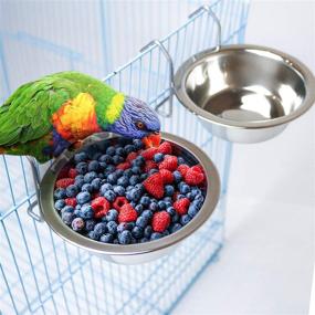 img 1 attached to 🐦 2 Pack Stainless Steel Bird Feeder Dishes with Wire Hook - Parrot Feeding Cups with Food Holder and Rattan Ball for Finches Lovebirds (Set 1)