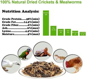 img 2 attached to 🦗 Premium 8oz Natural Dried Crickets and Mealworms - Ideal Food for Reptiles, Birds, Chickens, Fish, Hamsters, and Hedgehogs