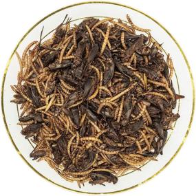 img 1 attached to 🦗 Premium 8oz Natural Dried Crickets and Mealworms - Ideal Food for Reptiles, Birds, Chickens, Fish, Hamsters, and Hedgehogs