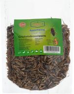 🦗 premium 8oz natural dried crickets and mealworms - ideal food for reptiles, birds, chickens, fish, hamsters, and hedgehogs logo