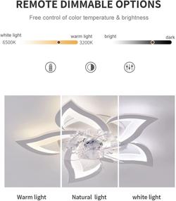 img 2 attached to 🌀 REYDELUZ 51W Ceiling Fan with Lights, 27.2In - Remote Control, 3 Color Temperatures, 3 Gear Wind Speed - Round Ceiling Lights with Fan for Bedroom, Living Room, and Dining Room (Style-G)