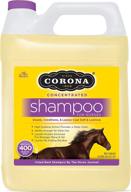 🧴 3 liter corona shampoo concentrate логотип